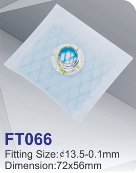 FT066