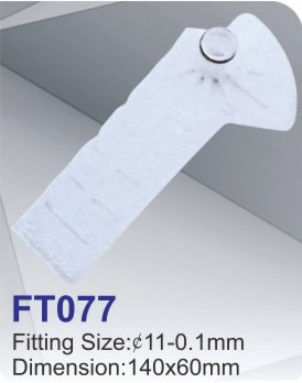 FT077