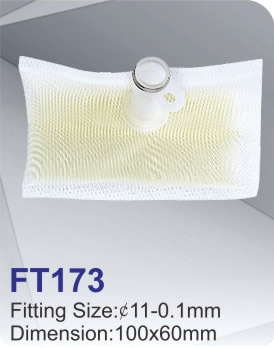 FT173