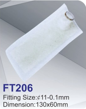 FT206