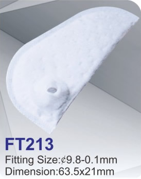 FT213